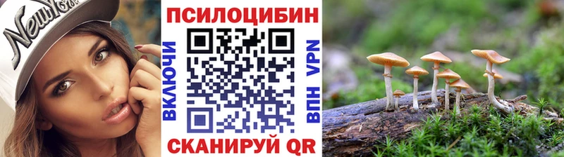Псилоцибиновые грибы Psilocybine cubensis Мариинский Посад