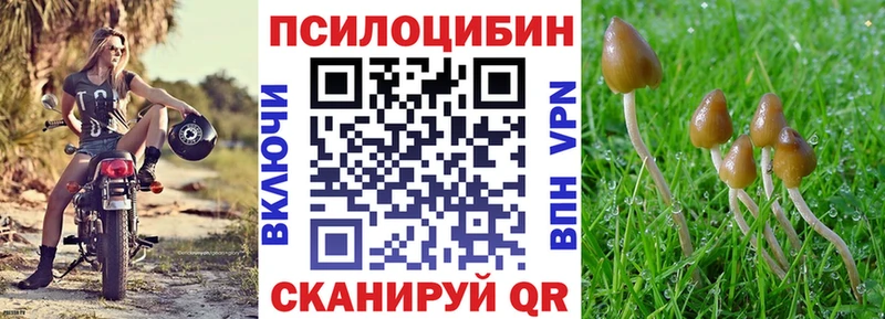 Галлюциногенные грибы Psilocybine cubensis  Мариинский Посад 